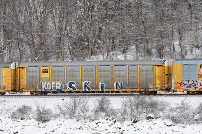 TTGX 982461