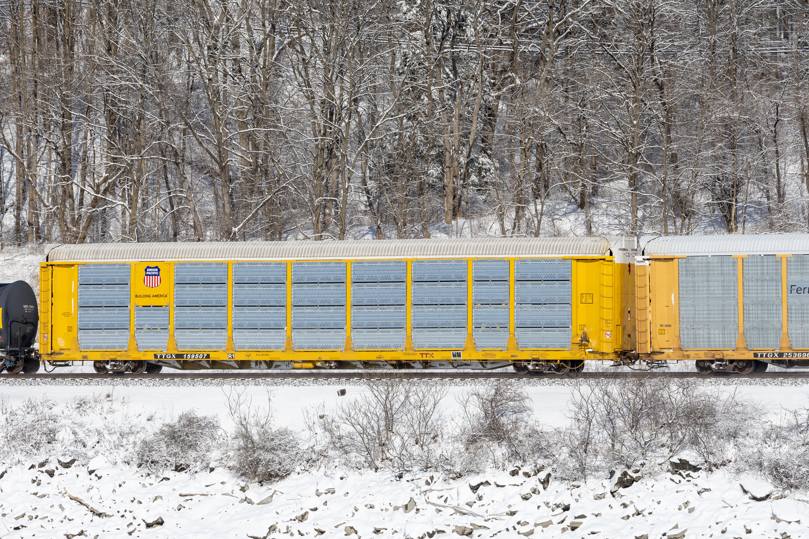 TTGX 159507