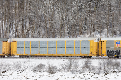 TTGX 942489
