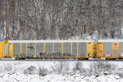 TTGX 254039