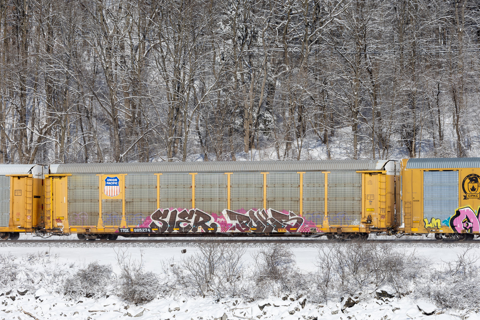 TTGX 985274