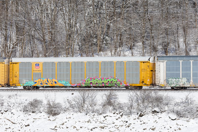 TTGX 991164