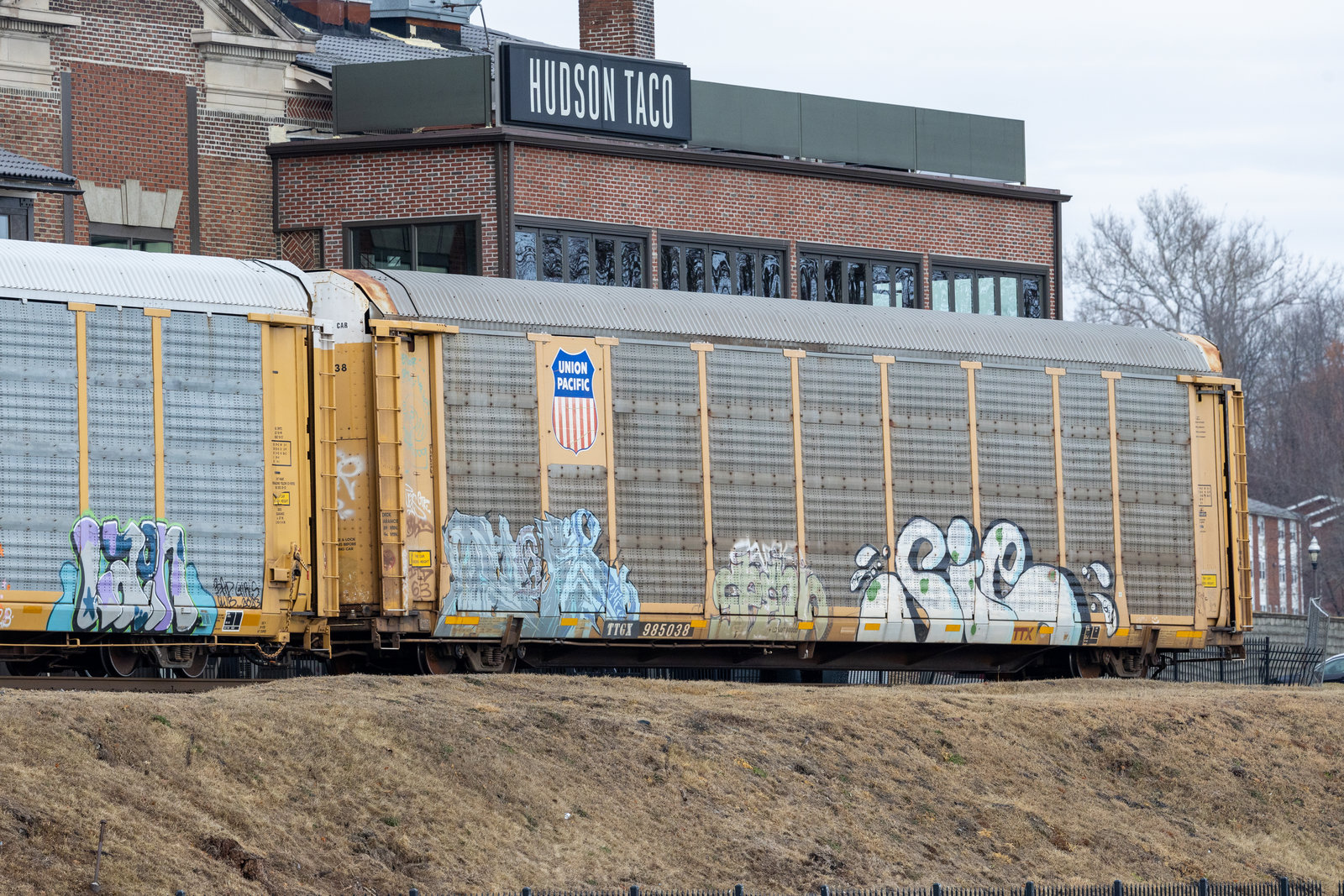 TTGX 985038
