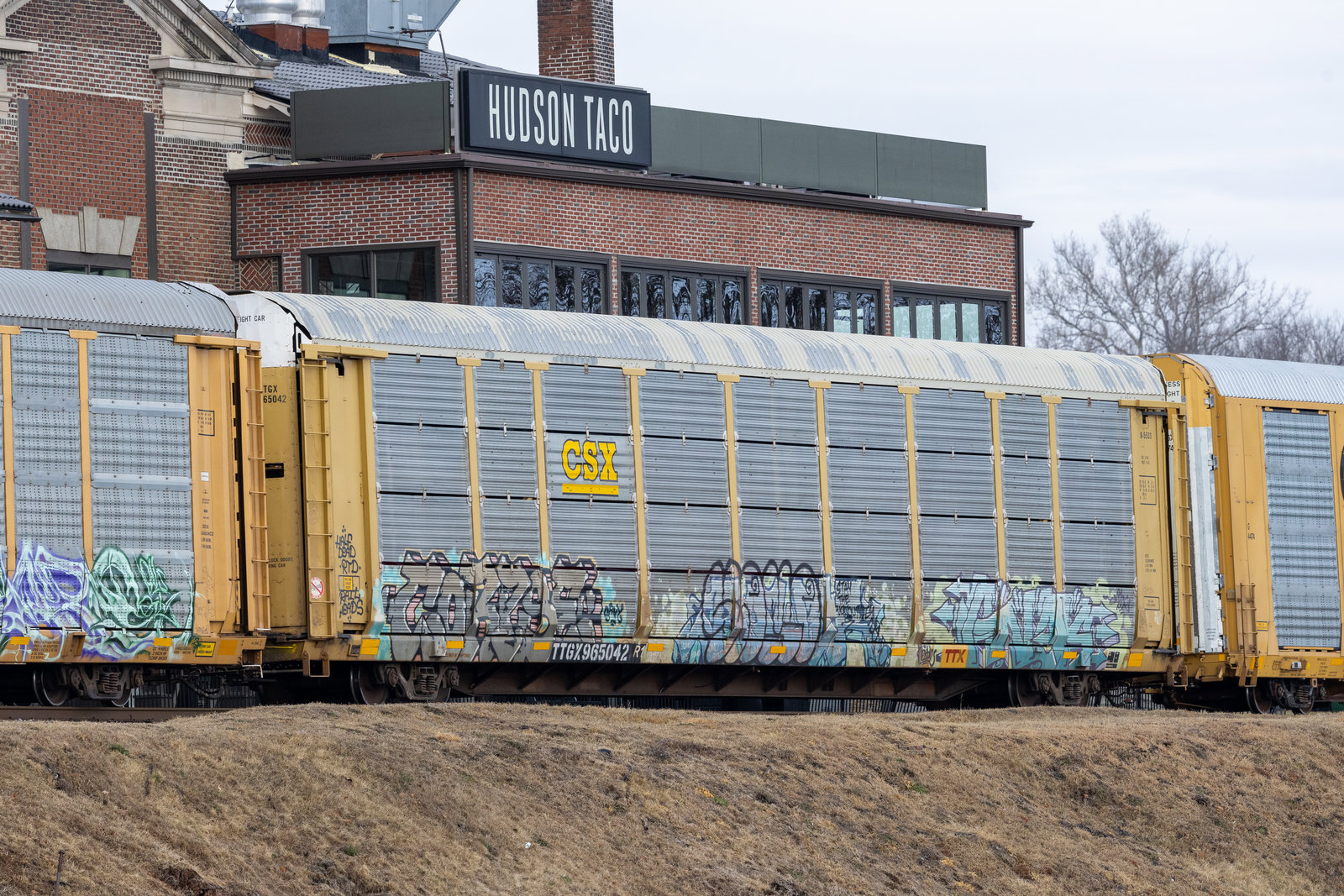TTGX 965042