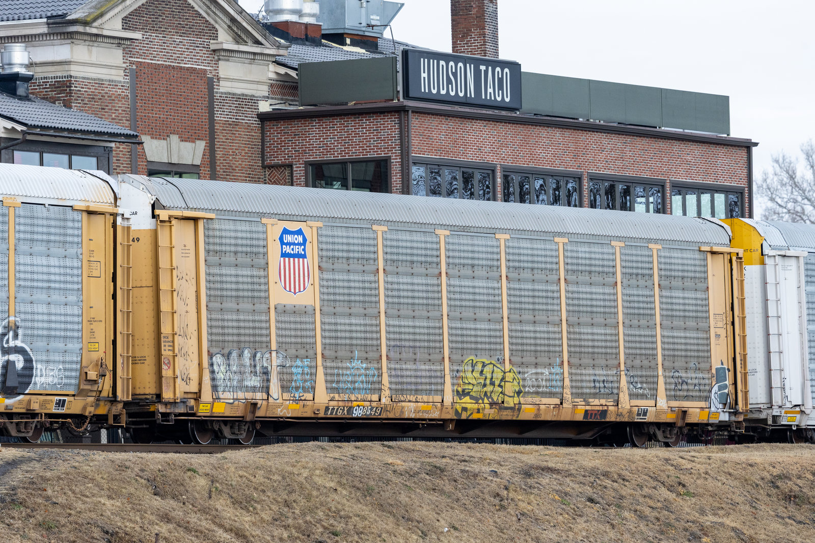 TTGX 988549