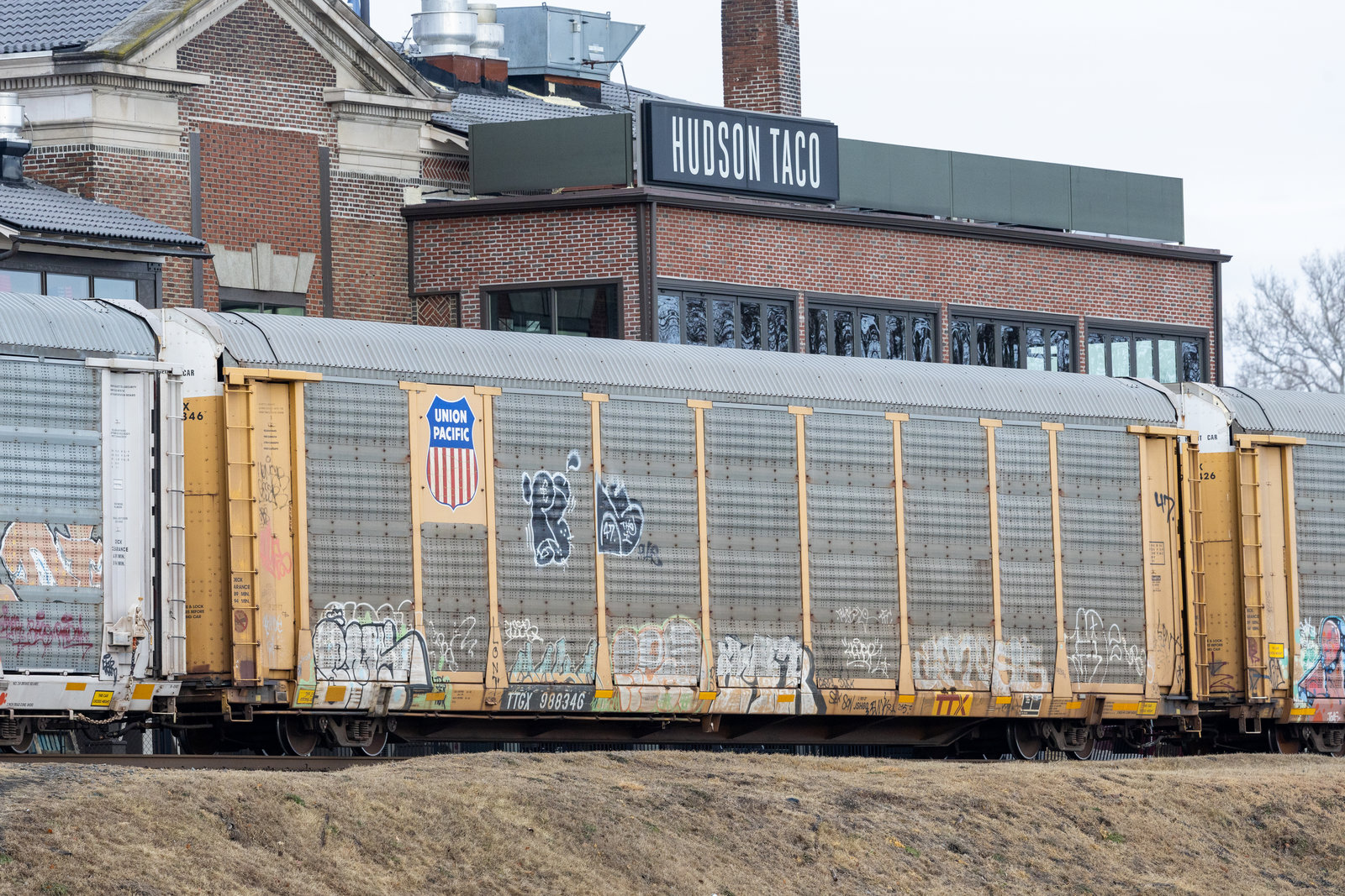 TTGX 988346