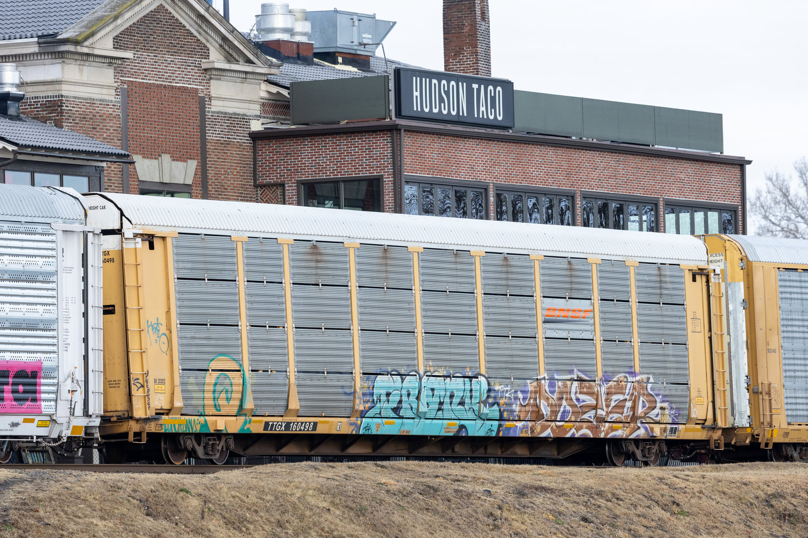 TTGX 160498