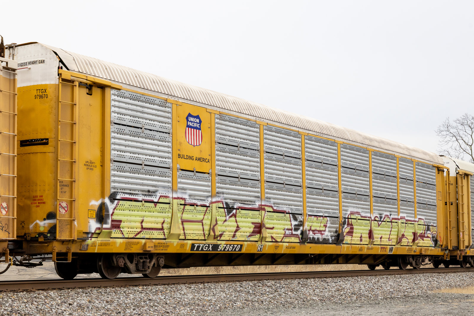 TTGX 979670