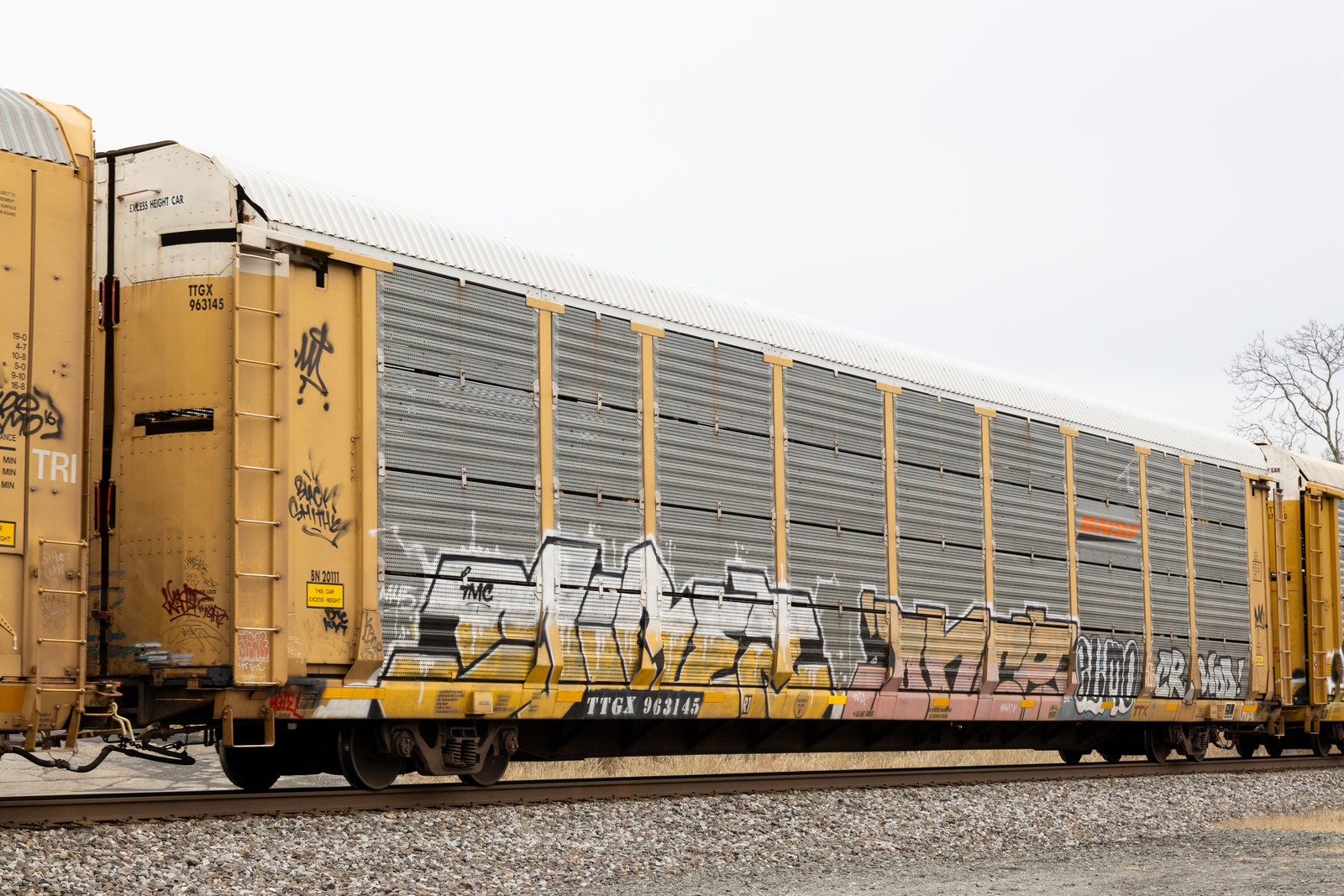 TTGX 963145