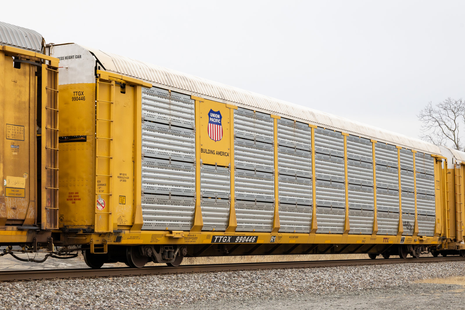 TTGX 990446