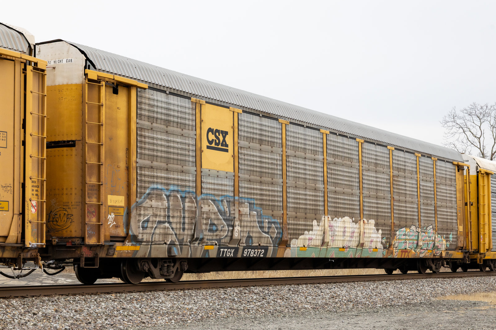 TTGX 978372