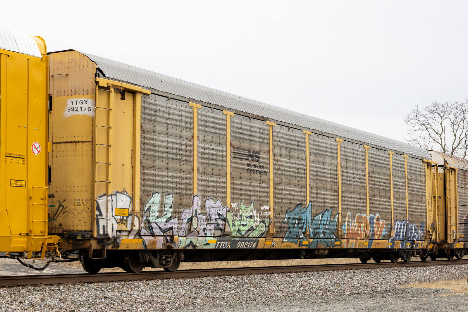 TTGX 992176