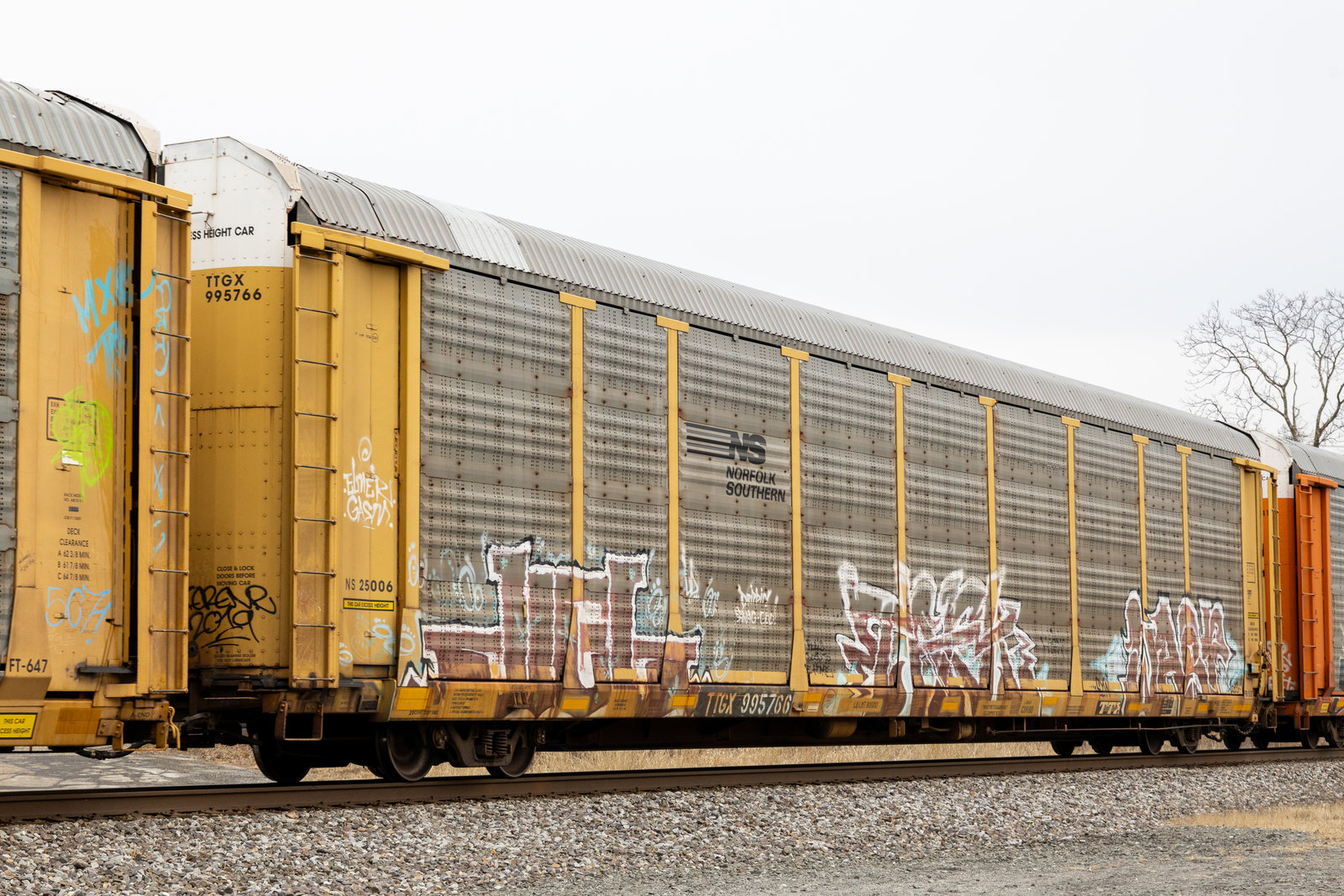 TTGX 995766