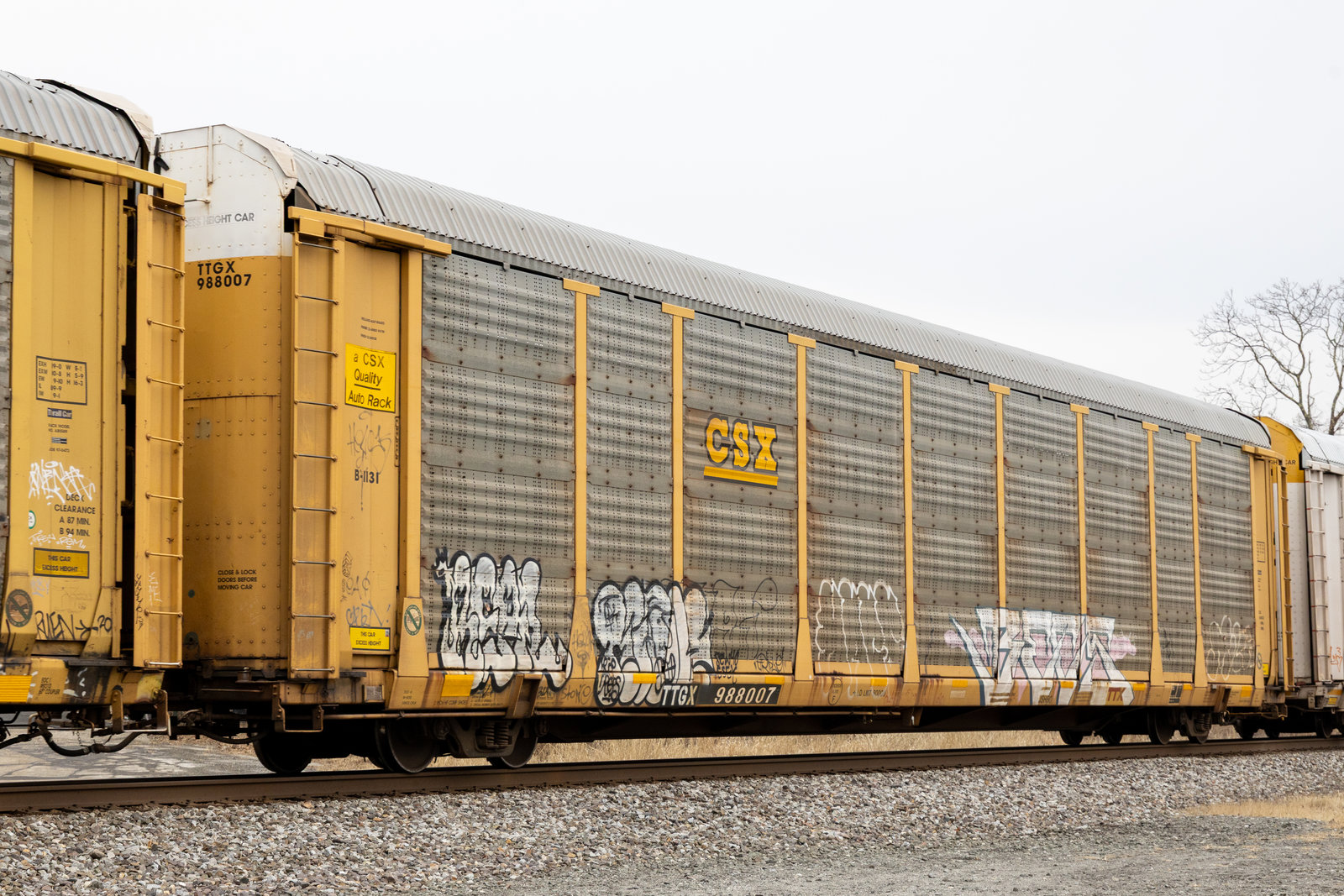 TTGX 988007