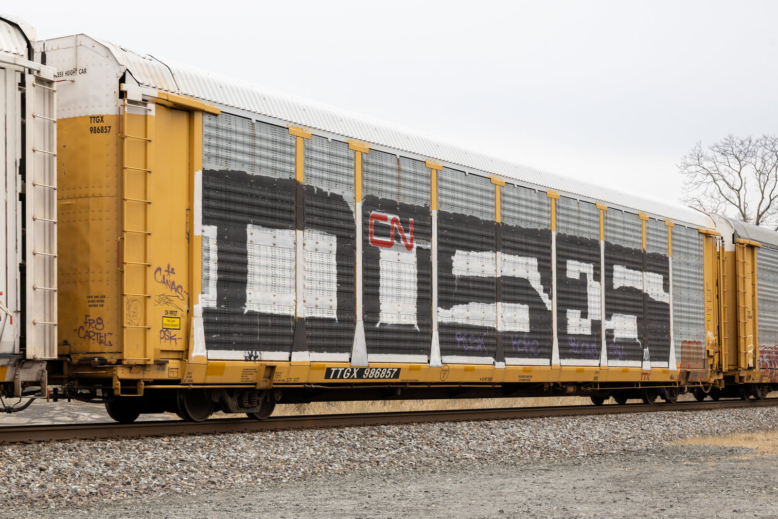 TTGX 986857