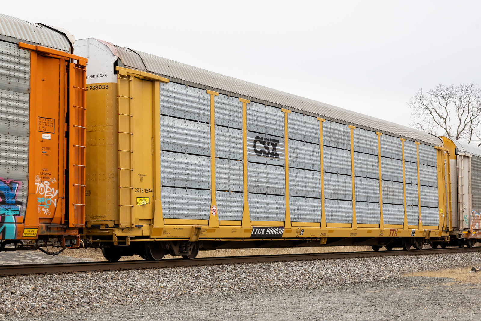 TTGX 988038