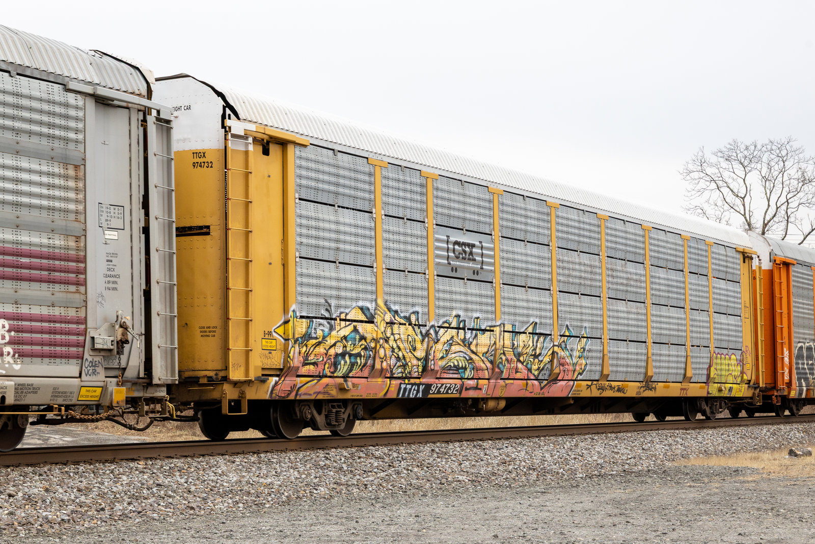 TTGX 974732