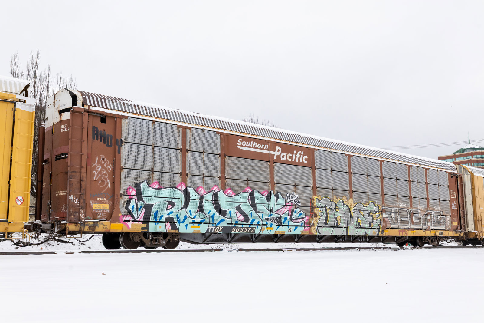 TTGX 963372