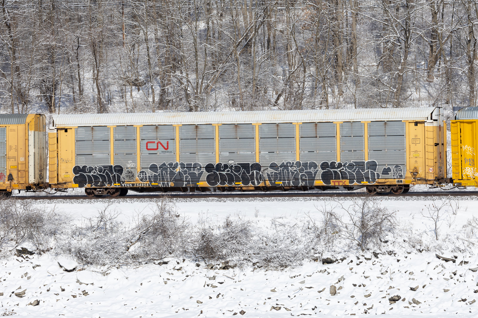 TTGX 254958