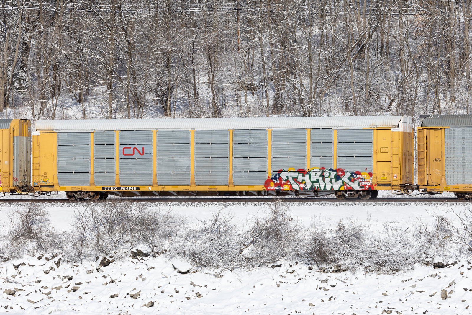 TTGX 964946