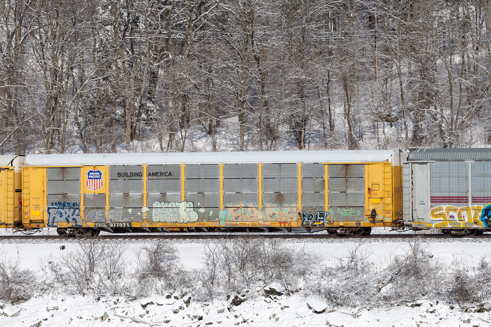 TTGX 977071