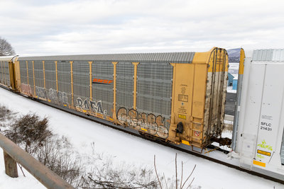 TTGX 967184