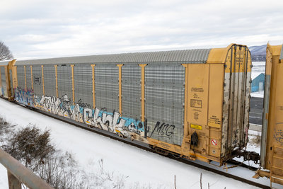 TTGX 715791
