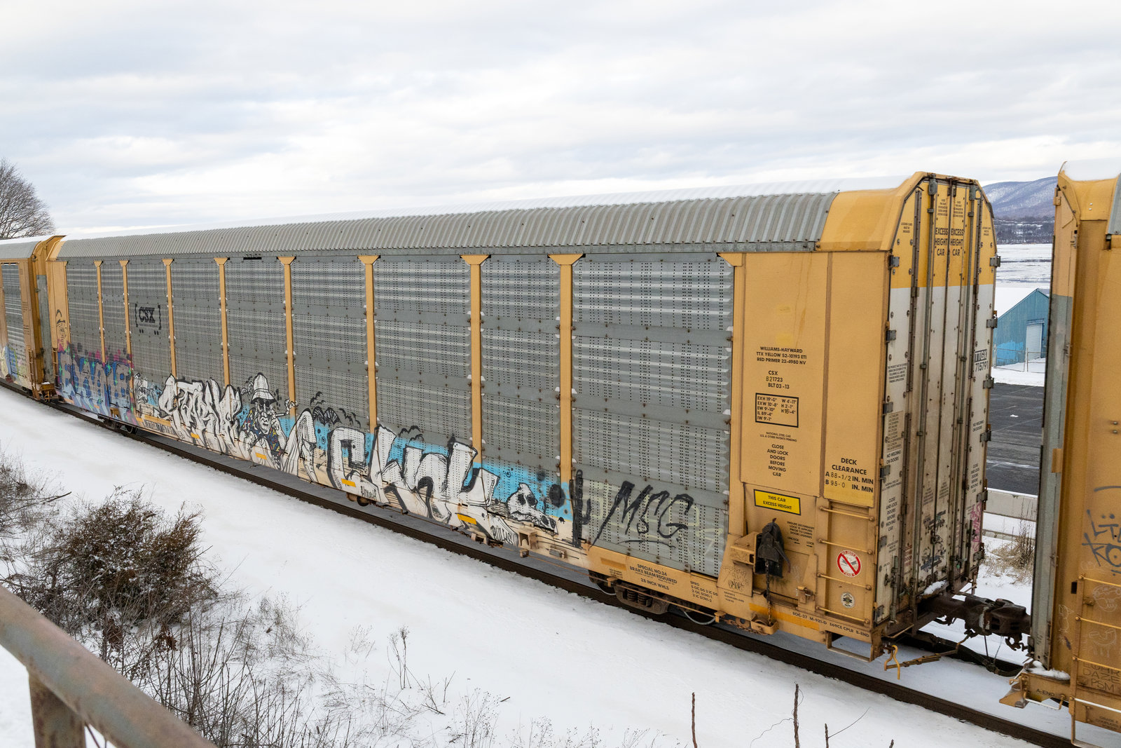 TTGX 715791