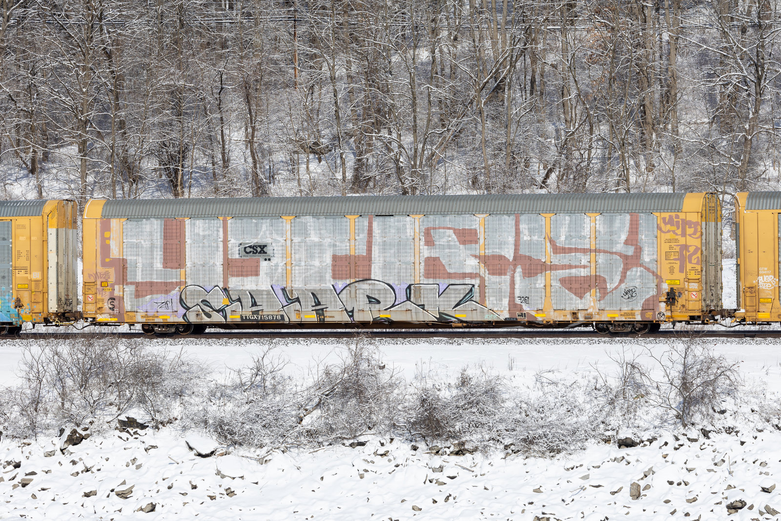TTGX 715876