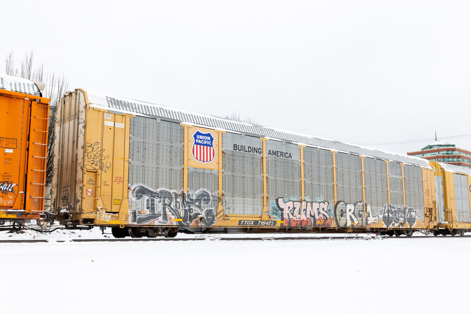 TTGX 716422