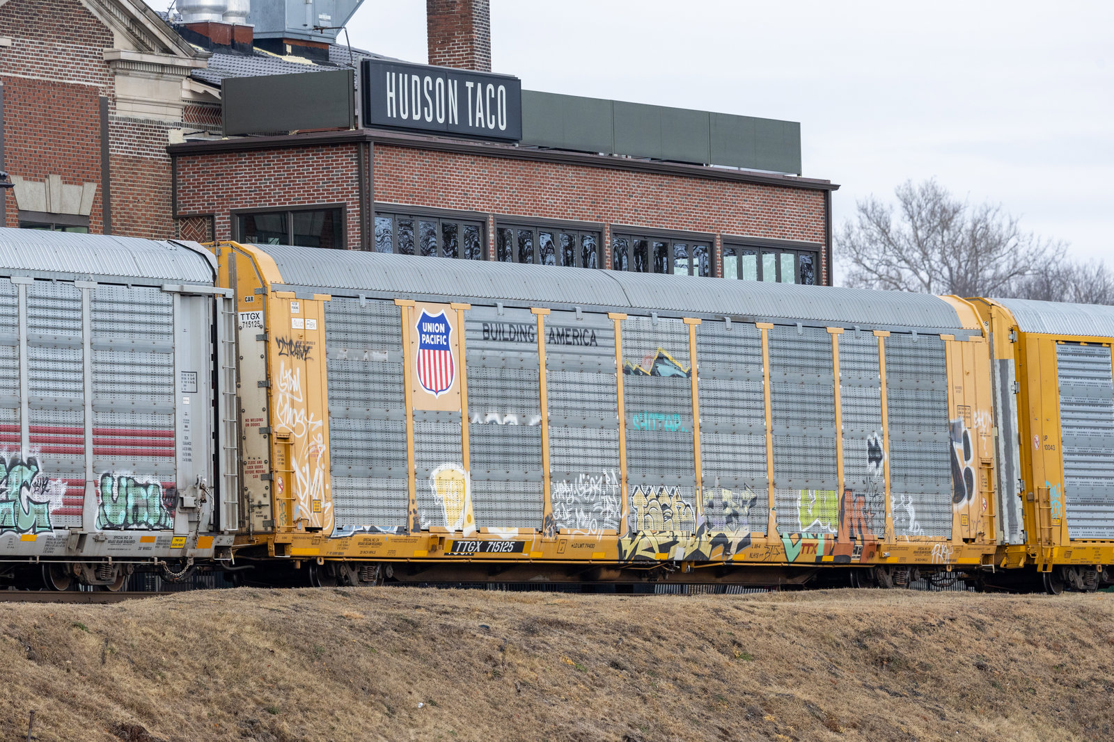 TTGX 715125