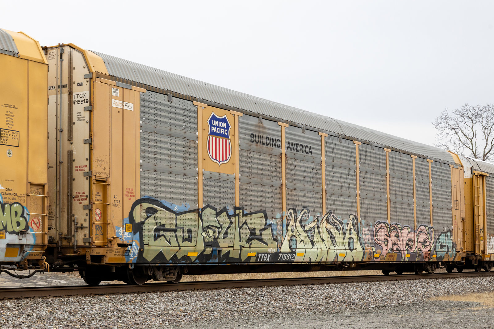 TTGX 715612
