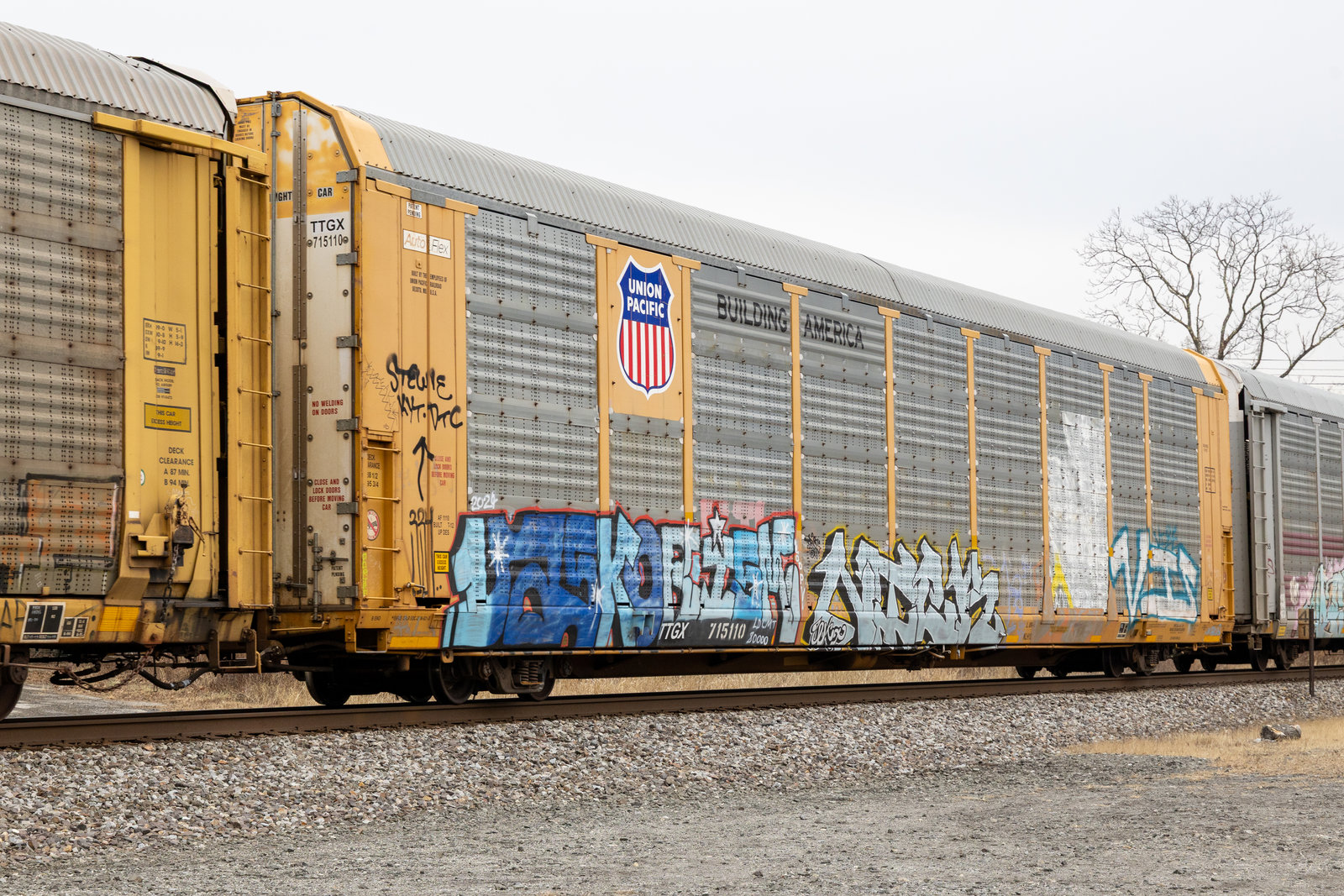 TTGX 715110