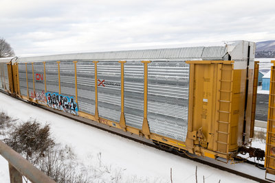 TTGX 709566