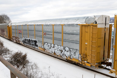 TTGX 709618