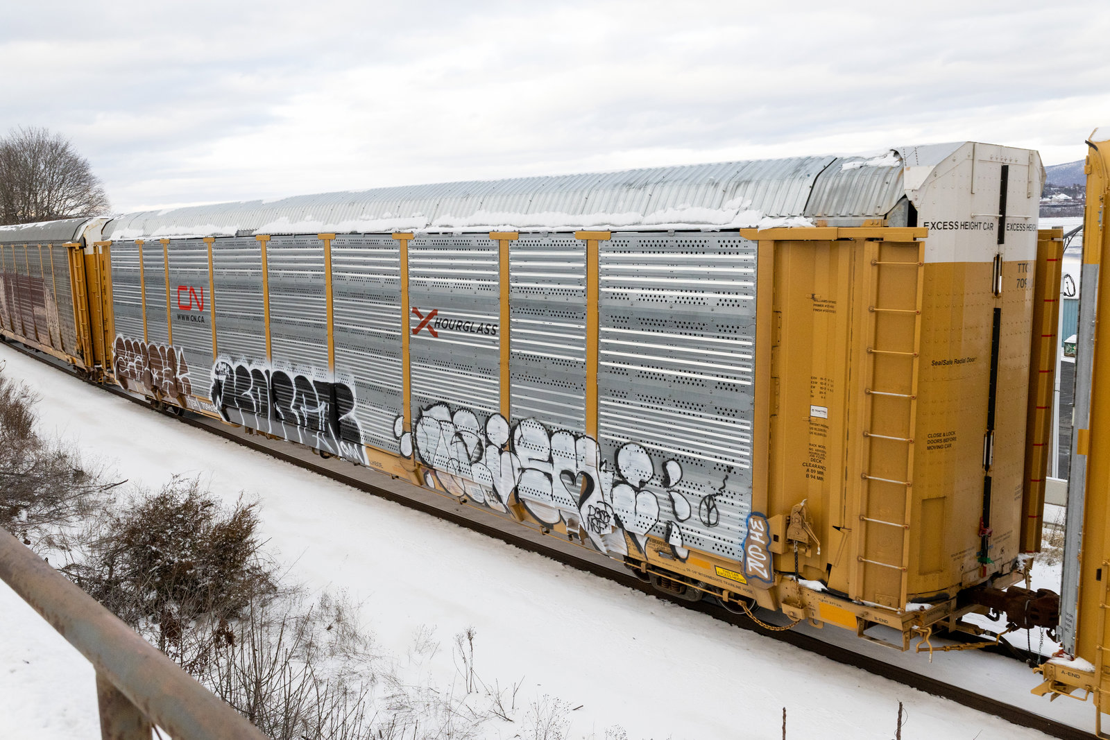 TTGX 709618