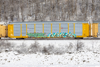 TTGX 835051