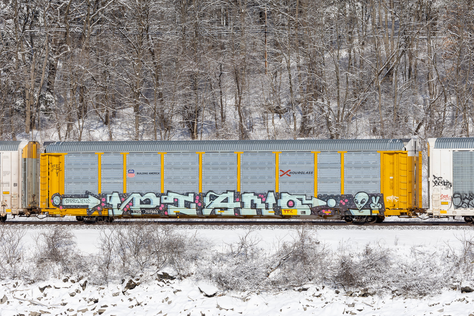 TTGX 707883