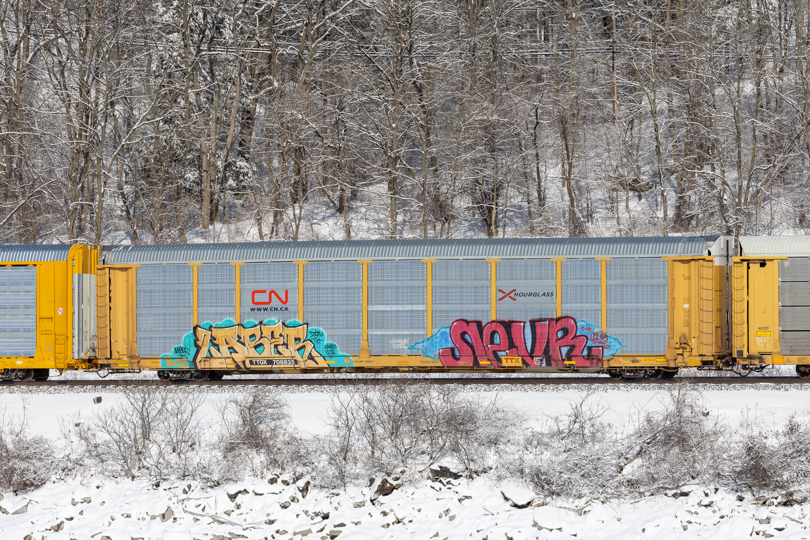 TTGX 708835