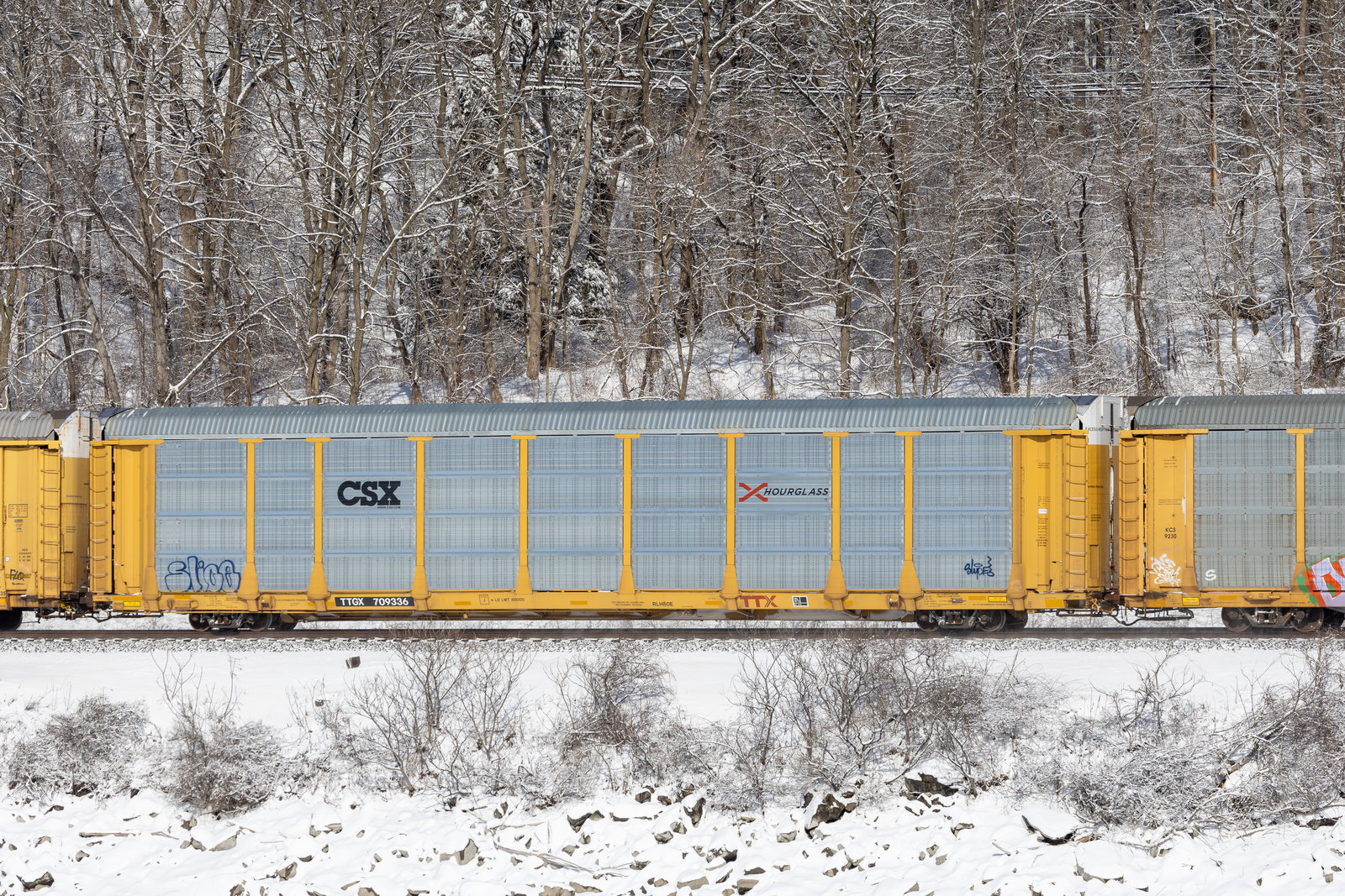 TTGX 709336