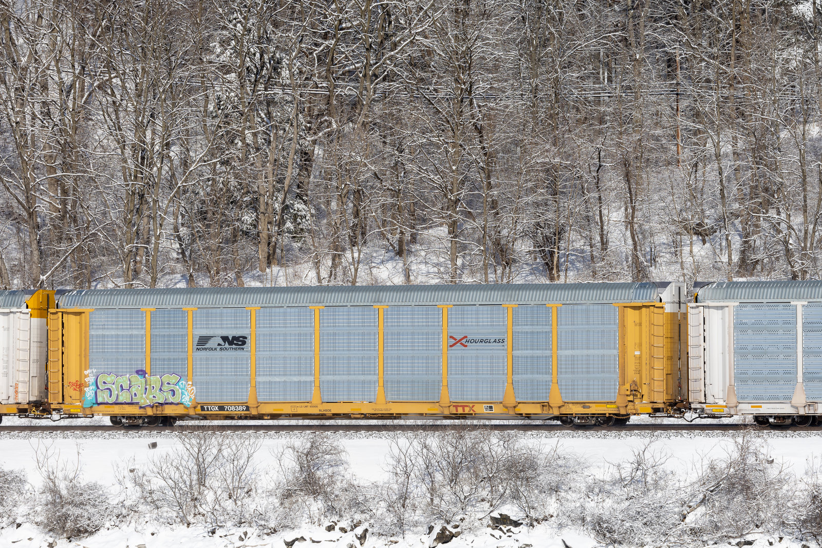 TTGX 708389