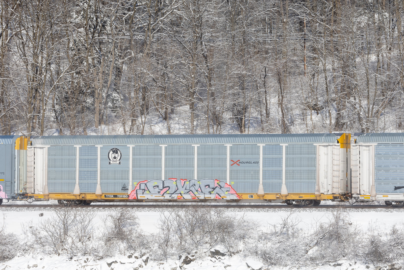 TTGX 709180