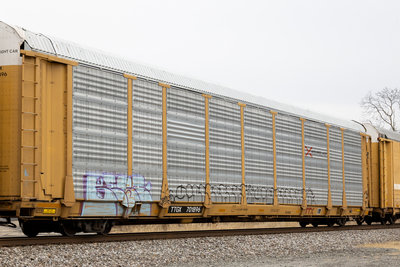TTGX 701896
