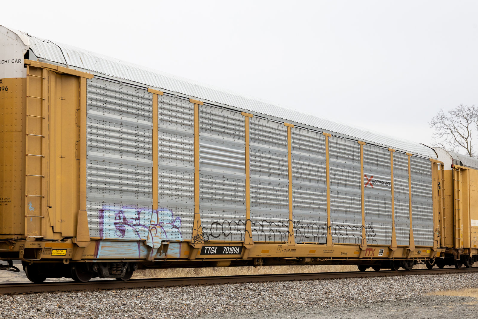 TTGX 701896