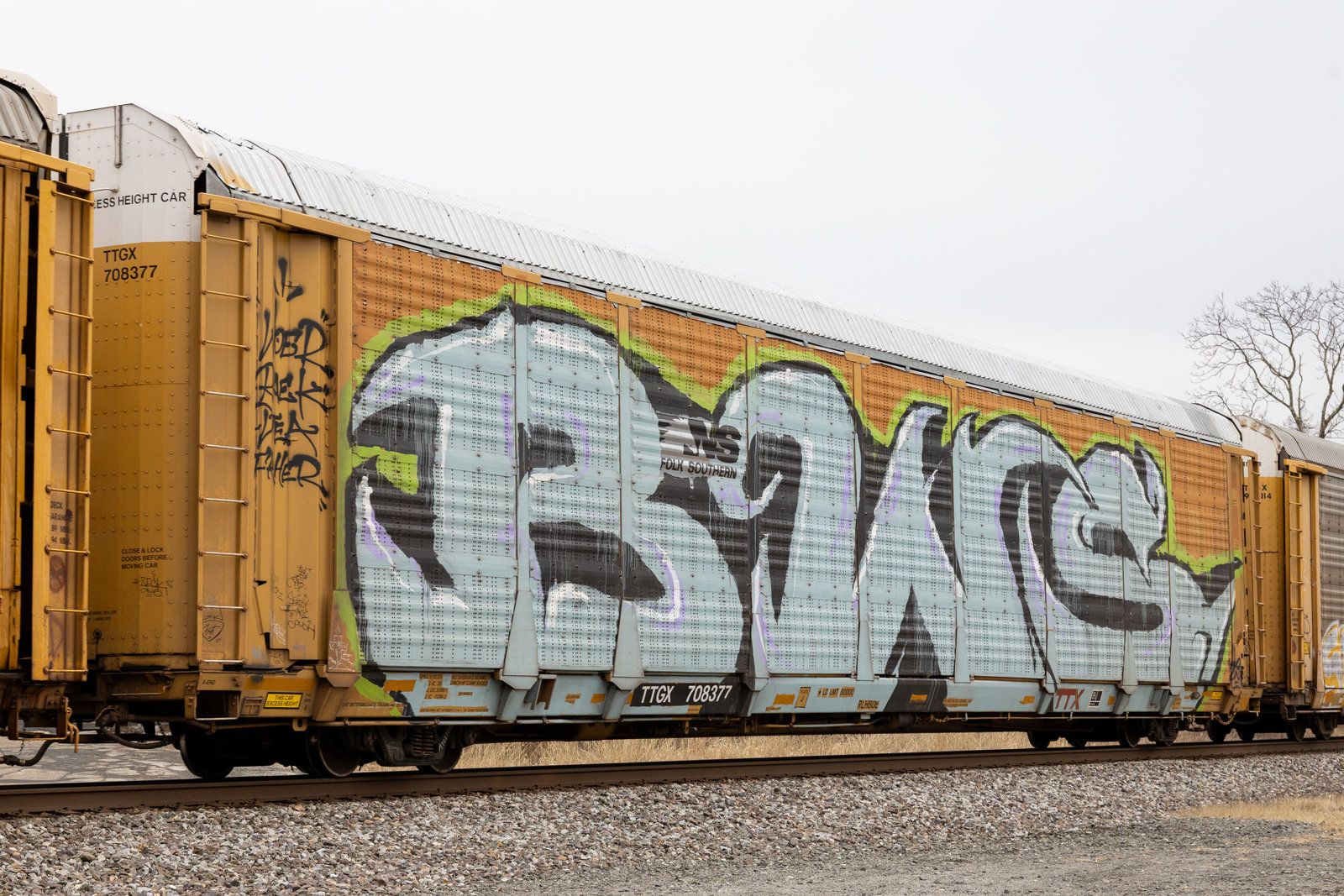 TTGX 708377