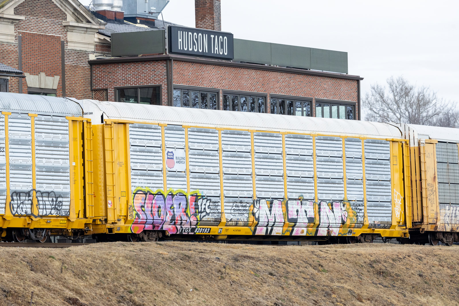 TTGX 820193