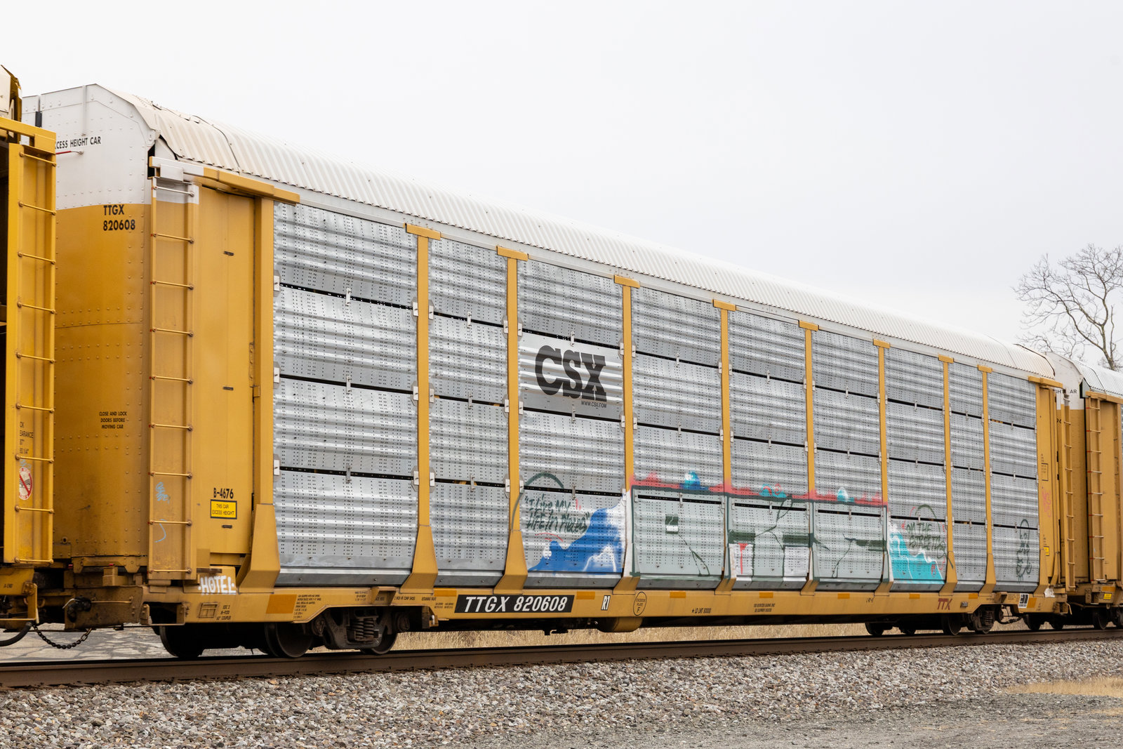 TTGX 820608