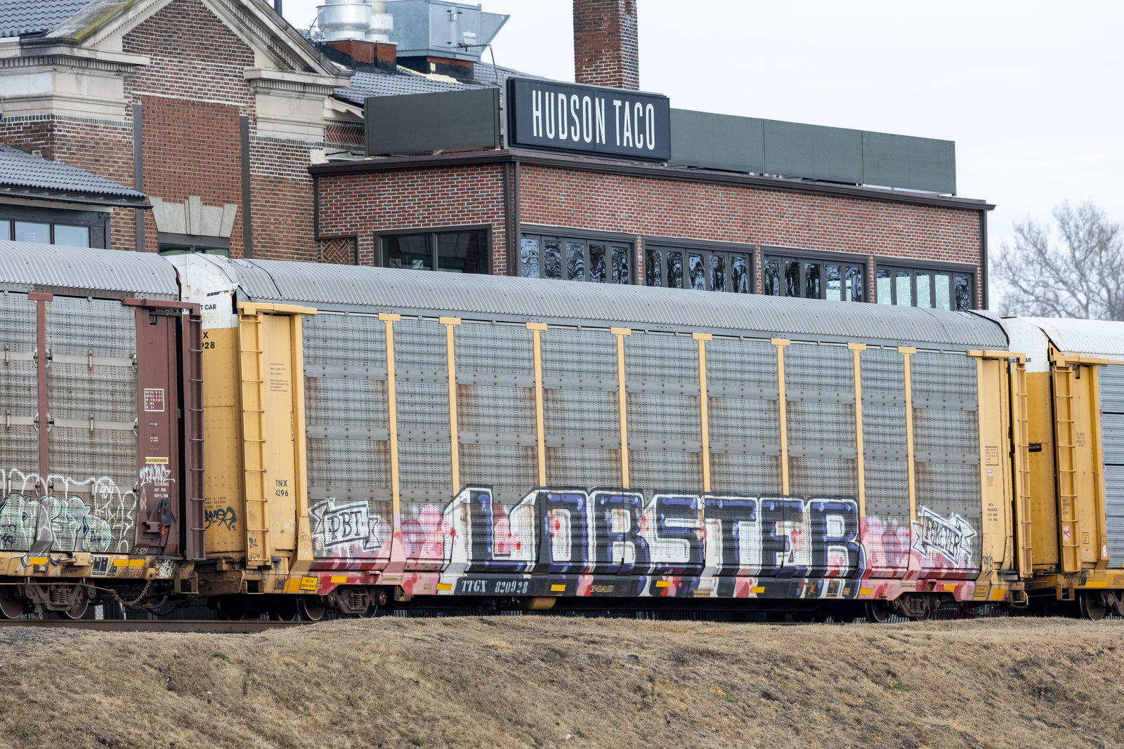 TTGX 820928