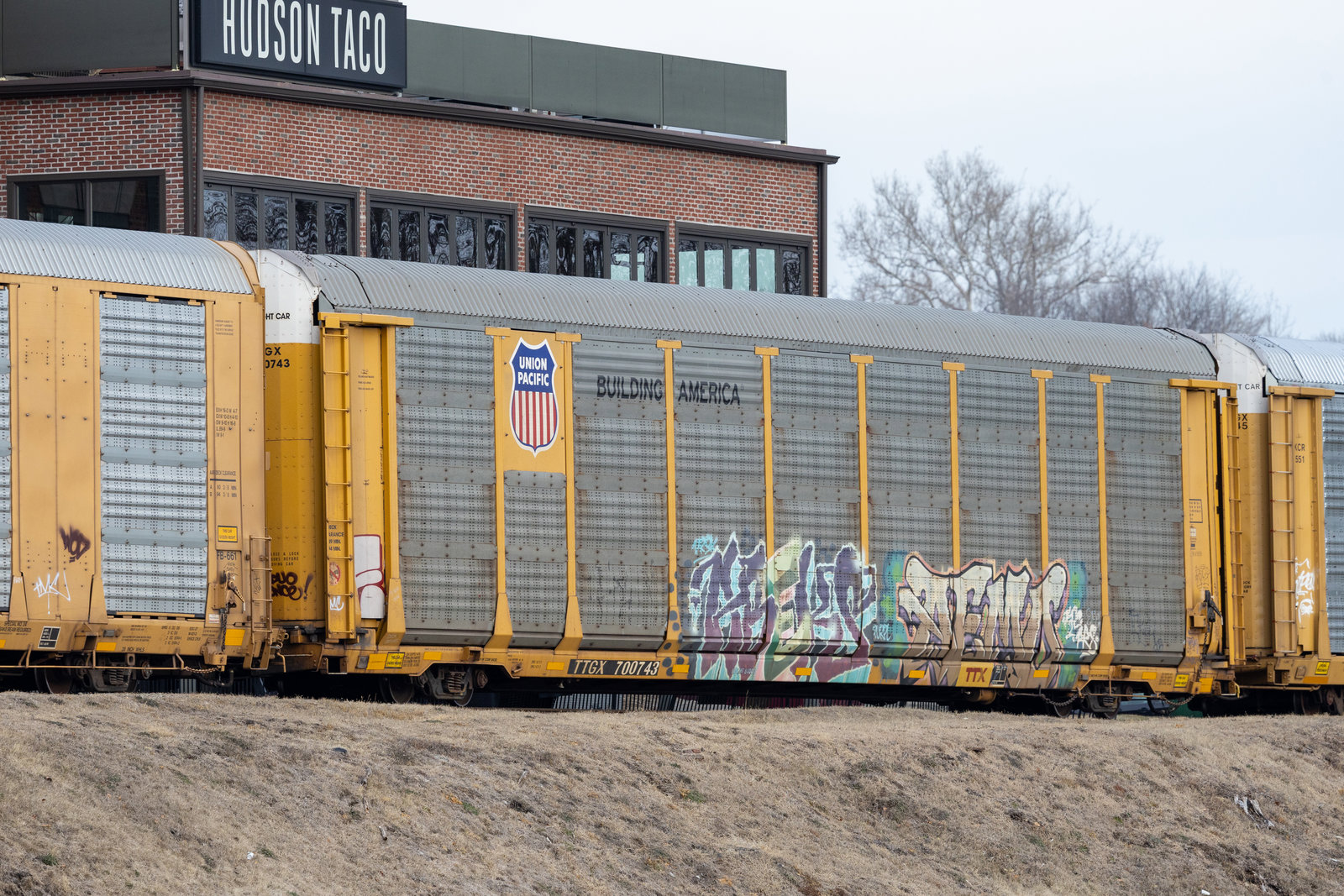 TTGX 700743