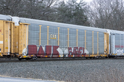 TTGX 852323
